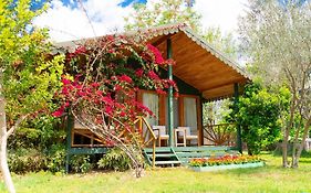 Etenna Beach Bungalows